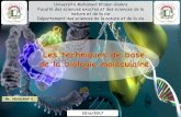 Méthodologie et termes techniques - fsesnv.univ-biskra.dzfsesnv.univ-biskra.dz/images/stories/cours_bio/4.les techniques de... · plus courantes de la biologie moléculaire, également