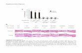 supplementary figures - media.nature.com · the control mice (DC-WT), a mixture of bone marrow cells from Ly5.2 congenic CARD9–/–CD11c-DTR Tg mice and Ly5.1 congenic WT mice is
