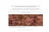 Assessment of maerl beds in the OSPAR area and the … · Assessment of maerl in OSPAR area, p. 1 Assessment of maerl beds in the OSPAR area and the development of a monitoring program