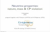 Neutrino properties: nature, mass & CP violation - … · Neutrino properties: nature, mass & CP violation I. Schienbein LPSC prepared together with P. Serpico (LAPTH) and A. Wingerter