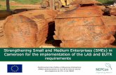Strengthening Small and Medium Enterprises (SMEs) in ... · (PME) camerounaises en vue de la mise en œuvre des exigences du SVL et du RBUE Strengthening Small and Medium Enterprises