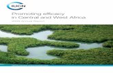 2008 Annual Report / IU CN- WAPcmsdata.iucn.org/downloads/2008_an_rep_paco.pdf · 4 2008 Annual Report / IUCN-CWAP AD (NGO): Action pour le Développement AFED: Amis de la Forêt