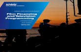 Film Financing and Television Programming - … financing... · number of international productions, such as The Rite, Bel Ami, The Eagle, and The Debt, Monte-Carlo, The Raven and