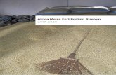 Africa Maize Fortification Strategy - Smarter Futures · preparing an Africa Maize Fortification Strategy. ... sugar fortification and wheat flour fortification ... Technology for