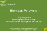 ExCo66 P2 - Bridgwater - Bioenergy€¦ · Biomass Pyrolysis Tony Bridgwater ... Projected yield of around 15% naphtha -like product ... It is claimed that you can make anything out