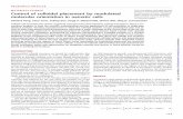 Full Text (PDF) - Science Advancesadvances.sciencemag.org/content/advances/2/9/e1600932.full.pdf · These deformations are preim-posed by the substrate photoalignment technique developed