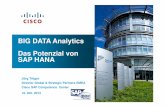 BIG DATA Analytics Das Potenzial von SAP HANA · BIG DATA Analytics Das Potenzial von SAP HANA Jörg Tröger Director Global & Strategic Partners EMEA Cisco SAP Competence Center
