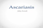 Ascariasis’ - University of North Carolina at Chapel Hillcourses.bio.unc.edu/2016Spring/Biol402/2016 Biol 402 Presentations... · REFERENCES’ Information • Andreu,JoseManuel,andSergeN.