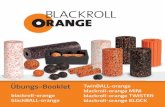 Übungs-Booklet blackroll-orange MINI · Nora Reim. 7 Buch-Tipps lösen! Staunen Sie, wie schnell sich Ihre Körperhaltung verbessert! Bei regelmäßiger Anwendung lassen sich Verklebungen