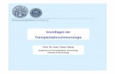 Grundlagen der Transplantationsimmunologie · Grundlagen der Transplantationsimmunologie ... Selektion von HLA Allelen, ... • CD4+ zytotoxische T-Lymphozyten