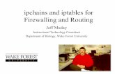 IP Chains for Firewalling and Routing - kambing.ui.ac.idkambing.ui.ac.id/onnopurbo/library/library-sw-hw/linux-howto/ip...ipchains and iptables for Firewalling and Routing Jeff Muday