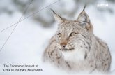 The Economic Impact of Lynx in the Harz Mountainslynxuk.org/publications/lynxharz.pdf · expenditure in the Harz Mountains National Park in Germany, where a similar reintroduction