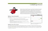 What You’ll Build - Appinventor · What You’ll Build With the Ladybug Chase app shown in Figure 5-1, the ... energy and prevent starvation. • Help the ladybug avoid a frog that