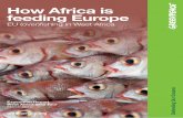 How Africa is feeding Europe - Greenpeace USA · How Africa is feeding Europe 3 Summary One of the biggest threats facing the world’s oceans today is overfishing. The UN Food &