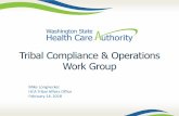 Tribal compliance and operations workgroup (February … · Handouts — Does xxxxx qualify for the IHS encounter rate, NCCI and Mental Health, NCC/ and SUL), ESPDT codes . Washington