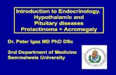 Introduction to Endocrinology. Hypothalamic and …semmelweis.hu/belgyogyaszat2/files/2018/02/20180212_EN_ENDO... · Introduction to Endocrinology. Hypothalamic and Pituitary diseases