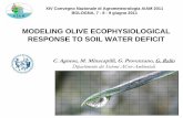 MODELING OLIVE ECOPHYSIOLOGICAL RESPONSE TO … · MODELING OLIVE ECOPHYSIOLOGICAL RESPONSE TO SOIL WATER DEFICIT C. Agnese, M. Minacapilli, G. Provenzano, G. Rallo Dipartimento dei