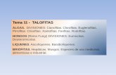 Tema 11 - TALOFITASecaths1.s3.amazonaws.com/farmacobotanicaunt/694397016.Algas (part… · Tema 11 - TALOFITAS ALGAS. DIVISIONES: Cianofitas. Clorofitas. Euglenofitas. Pirrofitas.