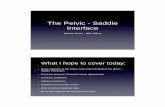 Pelvic - Saddle Interface.pptx [Read-Only] - UCSF CME. Saddle.Carre.pdf · • Basic anatomy of the pelvis and understanding of the pelvic - saddle interaction ... • Power produced