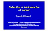 Infection à Helicobacter et cancer - SPILF - Infectiologie · La protéine CagA dans la cellule gastrique Hakateyama & Higashi Cancer Sci 2005;96:835-43-Phosphorylation de la Tyrosine