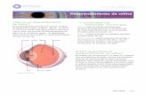 grupos pequenos de - saeye.com · ©2017 American Academy of Ophthalmology Revisado 03/17 2 de 5 Uquido detras de la retina lOuienes corren riesgo de sufrir un desprendimiento de