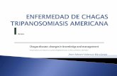 Chagas disease American trypanosomiasis - …media.utp.edu.co/facultad-ciencias-de-la-salud/archivos/4... · ECG: BRD, BAV, extrasístoles V, Bradi y taquiarritmias. ... Soplo sistólico