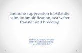Immune suppression in Atlantic salmon: smoltification, … · Transcriptomics –multiple gene expression profiling: - Oligonucleotide microarray - RNA-seq. Stress? Pathogen pressure?
