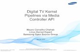 Digital TV Kernel Pipelines via Media Controller API · A PID set is output to userspace via a dvr devnode – Eventually after passing though CAM – Each single PID could, instead