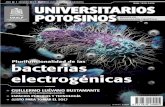 Editorial - uaslp.mx · Hugo Ricardo Navarro Contreras Coordinación para la Innovación y Aplicación de la Ciencia y la Tecnología ... mayo de 2017, es una publicación mensual