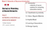 Biological Modeling of Neural Networks - LCN | EPFLlcn.epfl.ch/~gerstner/NeuronalDynamics-Classes/week5-Hopfield.pdf · 5.4 Hopfield Model 5 ... Biological Modeling of Neural Networks