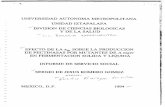 Q148.206.53.84/tesiuami/UAM21532.pdf · 2004-04-19 · INFORME DE SERVICIO SOCIAL MEXICO, D.F. 1994 J . INDICE GENERAL 1 DJTRODUCION .I Pectina ... Esquema representativo de la acción
