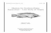 Markets for Northern Plains Aquaculture – Case Study of Tilapiaageconsearch.umn.edu/bitstream/23454/1/aer429.pdf · Agricultural Economics Report No. 429 October 1999 Markets for