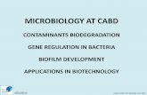 MICROBIOLOGY AT CABD - Instituto de la Grasa · MICROBIOLOGY AT CABD CONTAMINANTS BIODEGRADATION GENE REGULATION IN BACTERIA BIOFILM DEVELOPMENT APPLICATIONS IN BIOTECHNOLOGY UPO-CSIC-JA