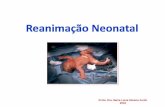 Profa. Dra. Maria Lúcia Silveira Ferlin 2016 - … d… · O ponto crítico para o sucesso da reanimação neonatal é a ventilação pulmonar adequada, fazendo com que os pulmões