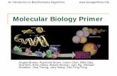 Molecular Biology Primer - Univerzita Karlovaksvi.mff.cuni.cz/~mraz/bioinf/BioAlg11-1c.pdf · Molecular Biology Primer Angela Brooks, Raymond Brown, Calvin Chen, Mike Daly, ... George