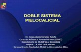 DOBLE SISTEMA PIELOCALICIAL - CERPO :: Centro …cerpo.cl/_items/File_002_00507_0013.pdf · embrionaria renal. Anomalias del sistema colector. Doble sistema pielocalicial Norman D