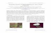 Anatomical features of Lilium polyphyllum D. Don …€¦ · Anatomical Features of Lilium polyphyllum D.Don ex Royle (Liliaceae) Dhyani, et al 2009. 86 Studies on anatomy of the