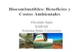 Biocombustibles: Beneficios y Costos Ambientalessaras-institute.org/images/conferences/sala_conferencia_2010.pdf · Biocombustibles: Beneficios y Costos Ambientales Osvaldo Sala SARAS