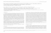 Reconstructing the paleoenvironment of Loltún …satori.geociencias.unam.mx/33-3/(06)Cruz.pdf · 343 Recontructin h paleonvironmn Loltún av, ucatán, Mexico RMCG| v. 33| núm.3