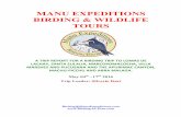 MANU EXPEDITIONS BIRDING & WILDLIFE TOURS Trip... · MANU EXPEDITIONS BIRDING & WILDLIFE TOURS A TRIP REPORT FOR A BIRDING TRIP TO LOMAS DE LACHAY ... 6 in total – seen in our way