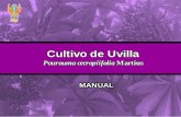 Cultivo de Uvilla - repositorio.iiap.org.perepositorio.iiap.org.pe/bitstream/IIAP/113/2/Melecio _Libro_2010.pdf · El Instituto de Investigaciones de la Amazonía Peruana – IIAP,