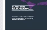 plaTefoRme pRofessionnelle - Cinelatino · plaTefoRme pRofessionnelle PARTICIPANTES / PARTICIPANTS / ATTENDEES. PLATEFORME EUROPE AMÉRIQUE LATINE - TOULOUSE - 2017 MAÏTE ALBERDI