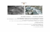 INTERVENCIONES DE GLACIARES ROCOSOS EN … · rocosos localizados en el Centro y Norte de Chile, ... Area de estudio El proyecto minero Los Pelambres se localiza en la cuenca superior