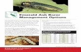 Emerald Ash Borer Management Options · The emerald ash borer (EAB) is an exotic insect that is destructive to ash trees (Fraxinus species). Although the adult stage causes minor