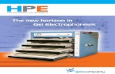The new horizon in Gel Electrophoresis - Life Science ... HPE Brochu… · electrophoresis system for up ... short set-up and fast running time ... (DIGE) or post-staining Clean the