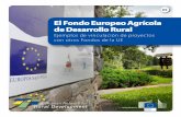 El Fondo Europeo Agrícola de Desarrollo Rural · Red Europea de Desarrollo Rural La Red Europea de Desarrollo Rural (REDR) contribuye a la implantación eficiente de los Programas