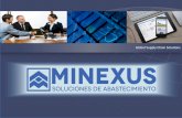 Global Supply Chain Solutions - minexus.com.arminexus.com.ar/presentacionespdf/MINEXUS-General - Lineas Servic…Servicios de Certificación, Almacenamiento y Transporte 100% Integrados