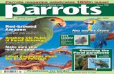 Parrots magazine celebrates 150th issue! Parrot July 2010.pdf · Report from Loro Parque Fundación Alex and the Crows Living with free flying birds VET’S SURGERY How a disability