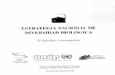 CBD Strategy and Action Plan - El Salvador (Part I ... · Banco Central de Reserva -Centro Nacional de Exportaciones -CENTREX ... Diego Salcedo A.v_ecto.sEcondmicos / Jos_ Roberto