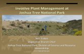 Invasive Plant Management at Joshua Tree National Park · The Invasive Plant Patrol (IPP) A group of trained volunteers and trained park staff from all divisions that map and report